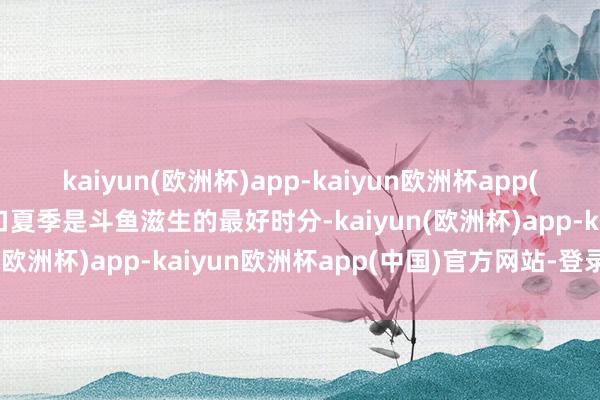 kaiyun(欧洲杯)app-kaiyun欧洲杯app(中国)官方网站-登录入口夏季是斗鱼滋生的最好时分-kaiyun(欧洲杯)app-kaiyun欧洲杯app(中国)官方网站-登录入口