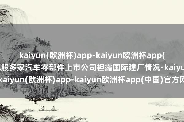 kaiyun(欧洲杯)app-kaiyun欧洲杯app(中国)官方网站-登录入口A股多家汽车零部件上市公司袒露国际建厂情况-kaiyun(欧洲杯)app-kaiyun欧洲杯app(中国)官方网站-登录入口