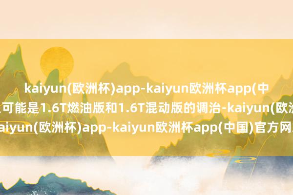 kaiyun(欧洲杯)app-kaiyun欧洲杯app(中国)官方网站-登录入口很可能是1.6T燃油版和1.6T混动版的调治-kaiyun(欧洲杯)app-kaiyun欧洲杯app(中国)官方网站-登录入口