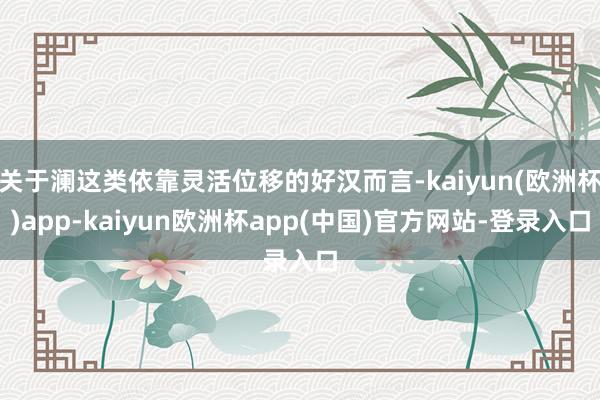 关于澜这类依靠灵活位移的好汉而言-kaiyun(欧洲杯)app-kaiyun欧洲杯app(中国)官方网站-登录入口