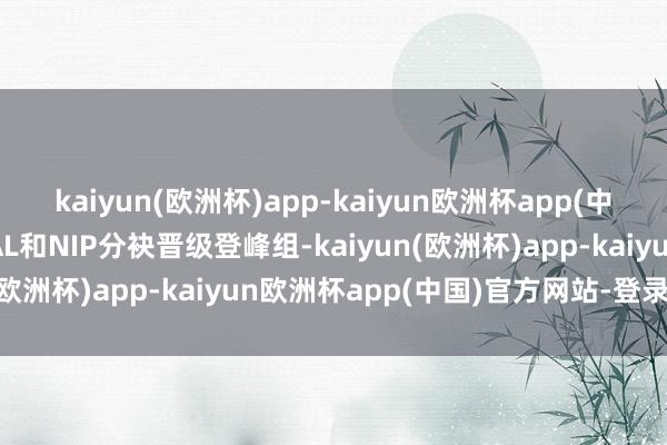 kaiyun(欧洲杯)app-kaiyun欧洲杯app(中国)官方网站-登录入口AL和NIP分袂晋级登峰组-kaiyun(欧洲杯)app-kaiyun欧洲杯app(中国)官方网站-登录入口