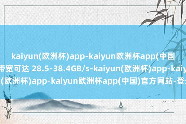 kaiyun(欧洲杯)app-kaiyun欧洲杯app(中国)官方网站-登录入口带宽可达 28.5-38.4GB/s-kaiyun(欧洲杯)app-kaiyun欧洲杯app(中国)官方网站-登录入口