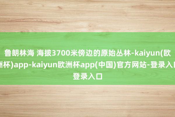 鲁朗林海 海拔3700米傍边的原始丛林-kaiyun(欧洲杯)app-kaiyun欧洲杯app(中国)官方网站-登录入口