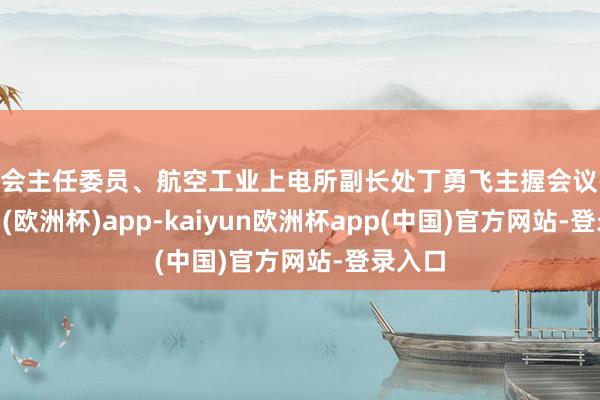 分会主任委员、航空工业上电所副长处丁勇飞主握会议-kaiyun(欧洲杯)app-kaiyun欧洲杯app(中国)官方网站-登录入口