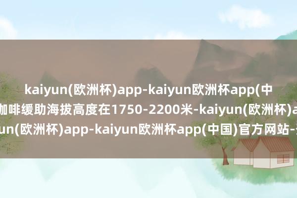 kaiyun(欧洲杯)app-kaiyun欧洲杯app(中国)官方网站-登录入口咖啡缓助海拔高度在1750-2200米-kaiyun(欧洲杯)app-kaiyun欧洲杯app(中国)官方网站-登录入口