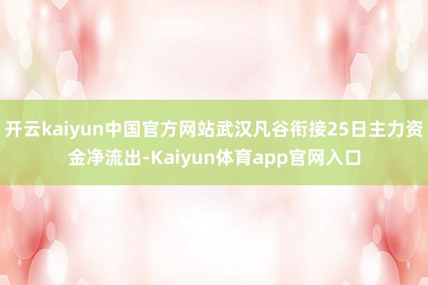 开云kaiyun中国官方网站武汉凡谷衔接25日主力资金净流出-Kaiyun体育app官网入口