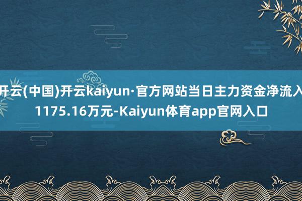 开云(中国)开云kaiyun·官方网站当日主力资金净流入1175.16万元-Kaiyun体育app官网入口